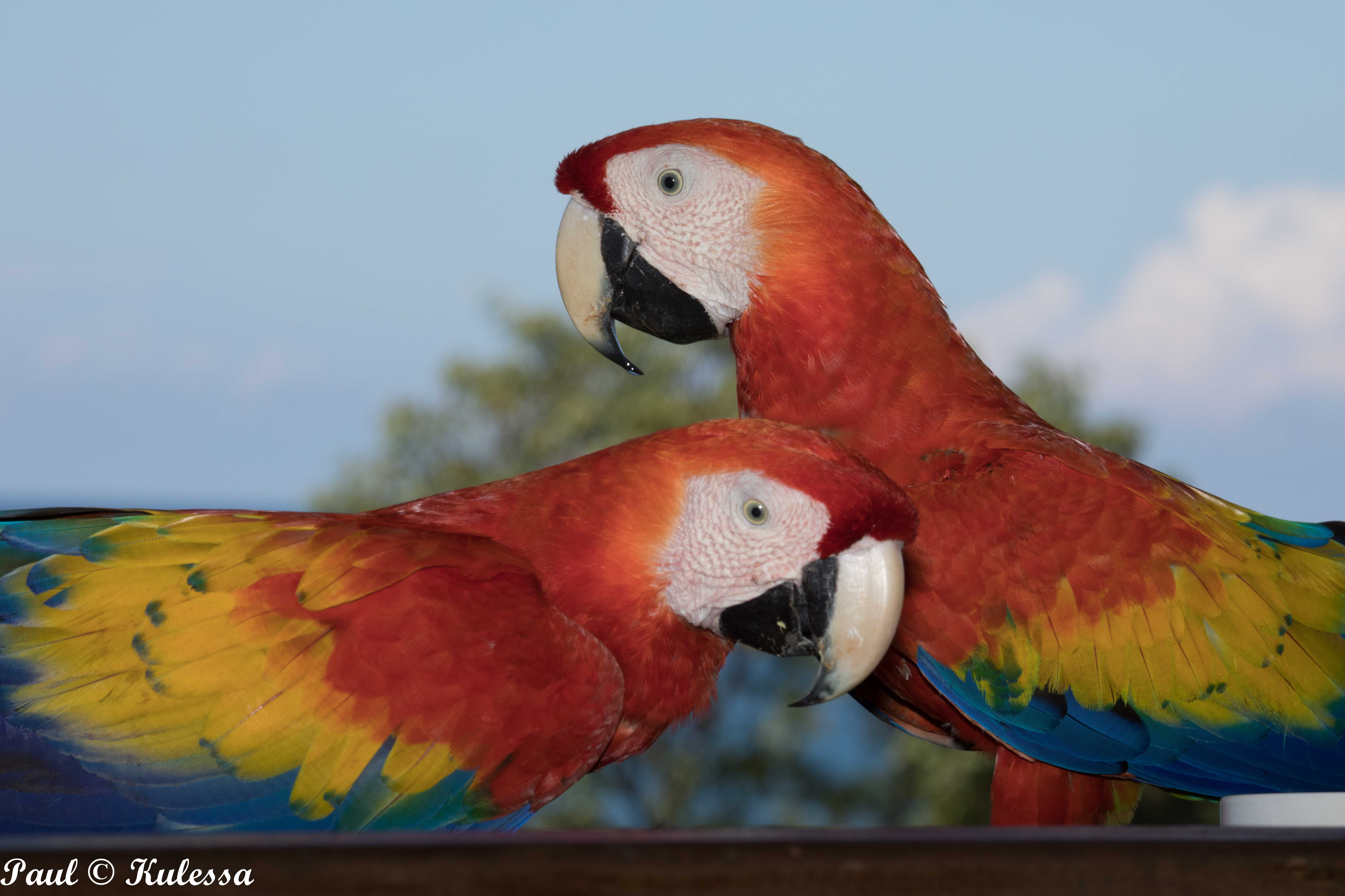 Costa Rica